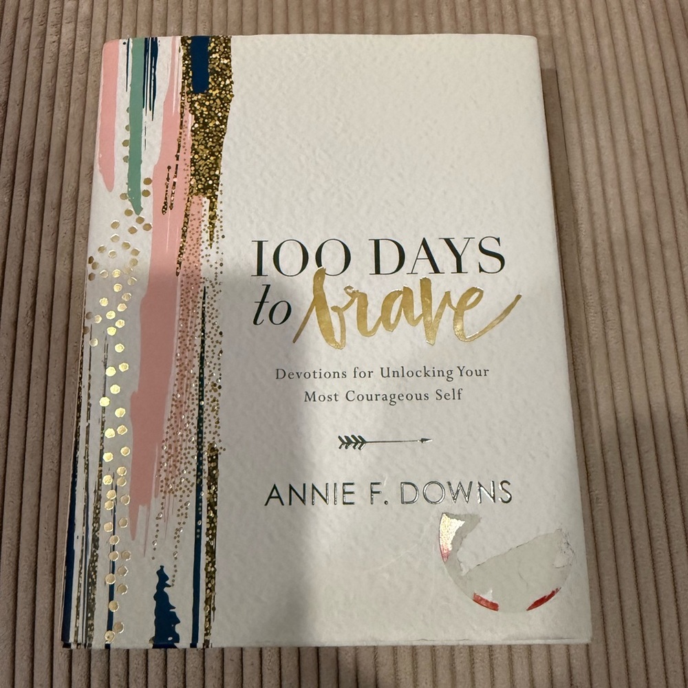 100 Days to Brave Book